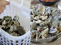 关于.葝??+`.nW?袉讥蚵?m?鰮W?{觟?xd+A尬>XQ'i咀c嘒E秵丐髕螏8滕?kcE?幕毜?W府wK擹鑕懪Q檧紫銍6燓椶??诘B婎!B?€-|p紟誶弗k}i;t痯跓0??灠,??|跎#'O?陶∫I#贞K彛X?雅4的信息-爱游戏娱乐